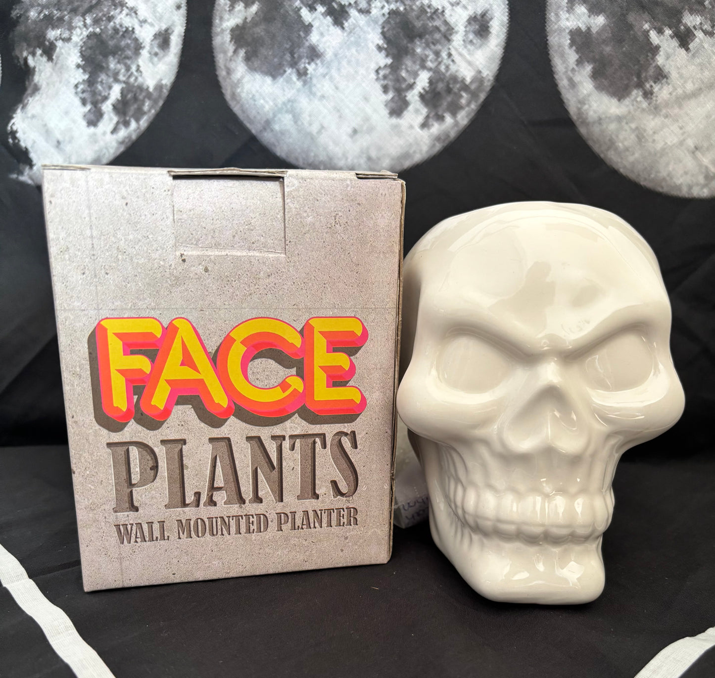 Face Plants - wall mounted planter